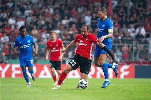 SG Sonnenhof Grossaspach vs 勒沃库森历史战绩