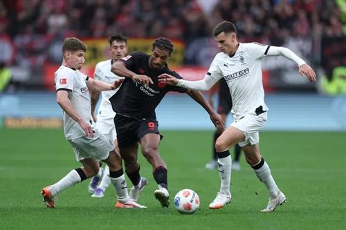 勒沃库森 vs 门兴格拉德巴赫